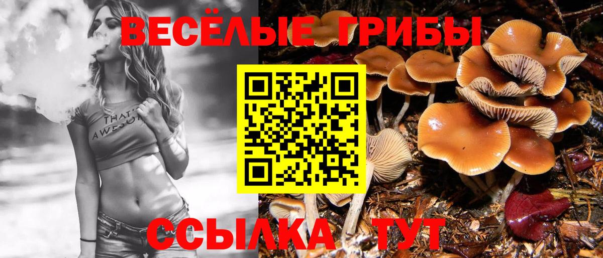 Псилоцибиновые грибы GOLDEN TEACHER  Вход с VPN  Ишим  Псилоцибиновые грибы мицелий 