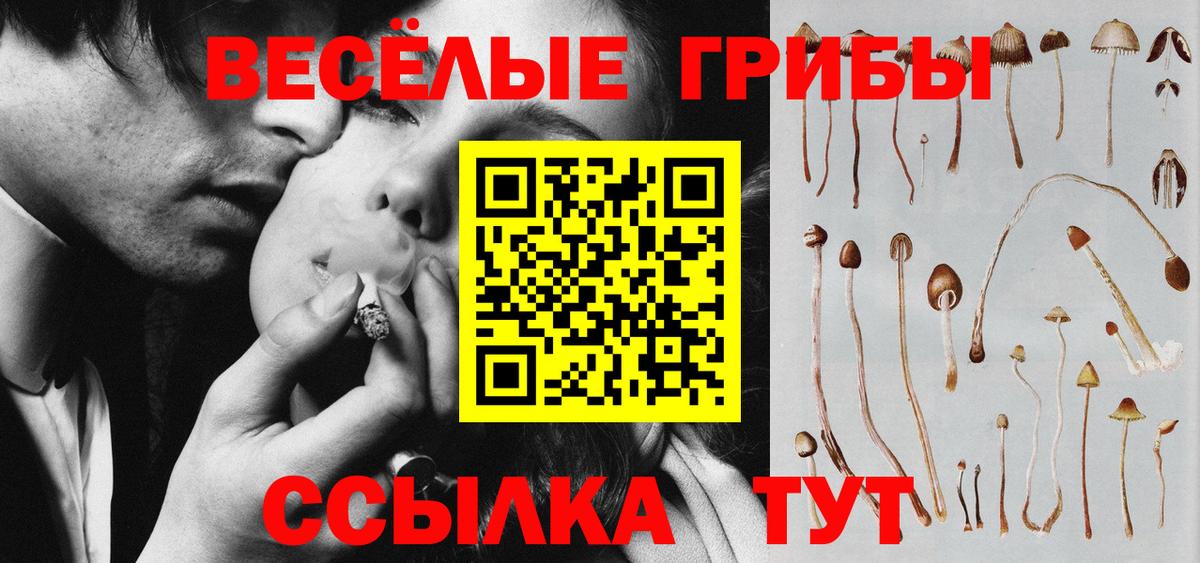 Галлюциногенные грибы Psilocybe Ишим